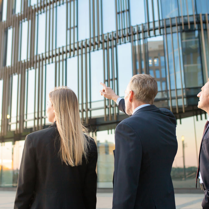 Government & Public Sector